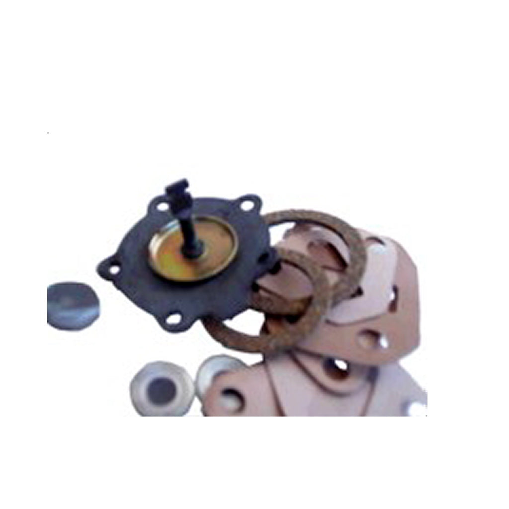 FUEL PUMP REPAIR KIT AC BD4 for Series YD (and part Y)